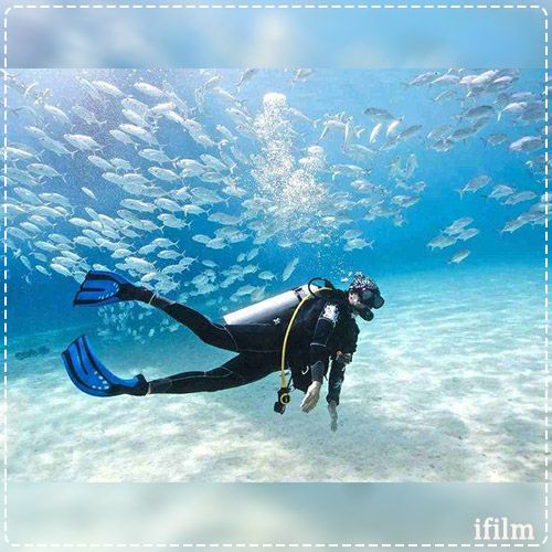 جزیره کیش غواصی
