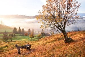 مقاصد دیدنی در پاییز