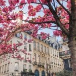 تور پاریس فرانسه
