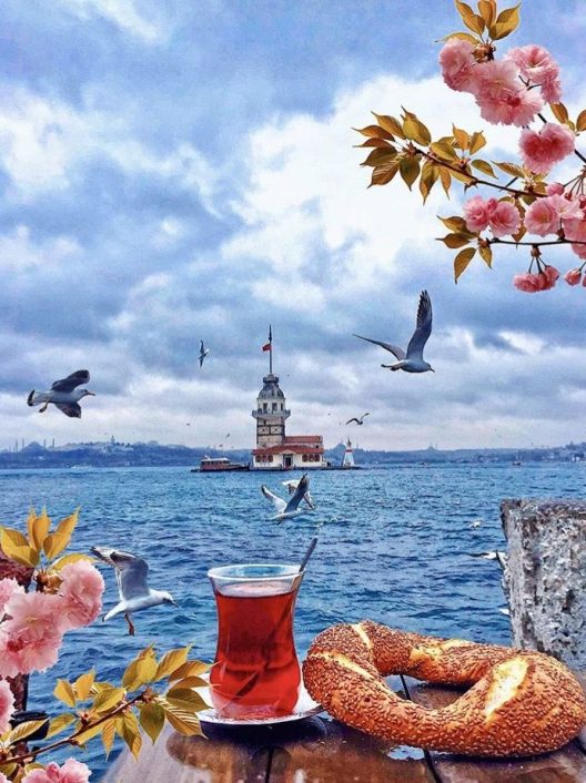 تور استانبول ۴ شب ۸ فروردین ۱۴۰۴