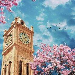 تور زمینی اربیل ۱۲ فروردین ۱۴۰۴