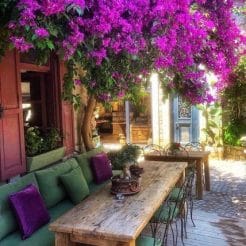 چشمه با منظره زیبا دریای اژه در ترکیه